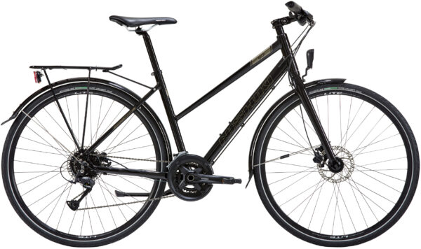 Nishiki City 501