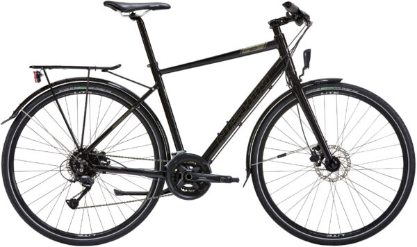 Nishiki City 501